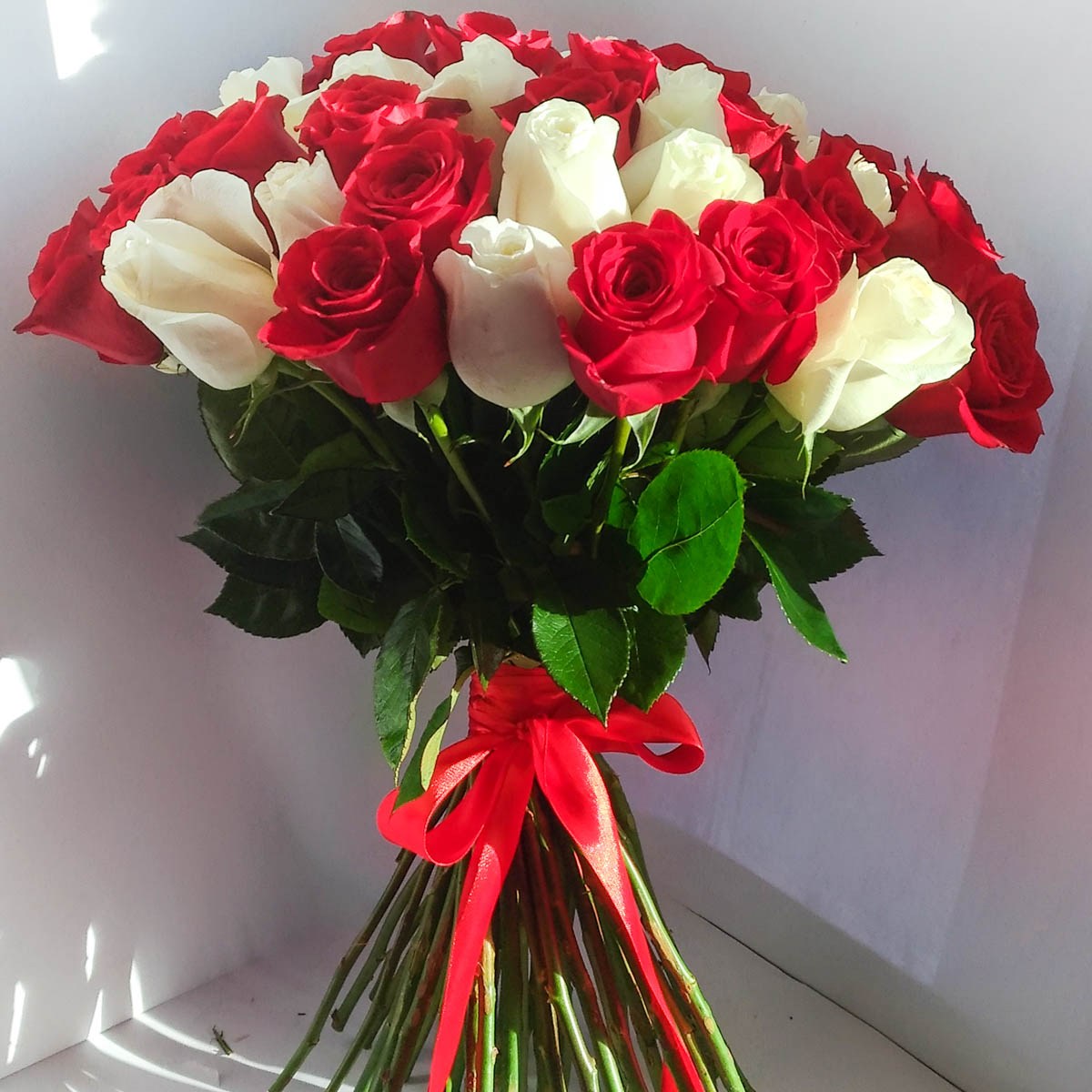 Букет из 51 красной и белой розы с лентой - Фотография цветов перед доставкой 3