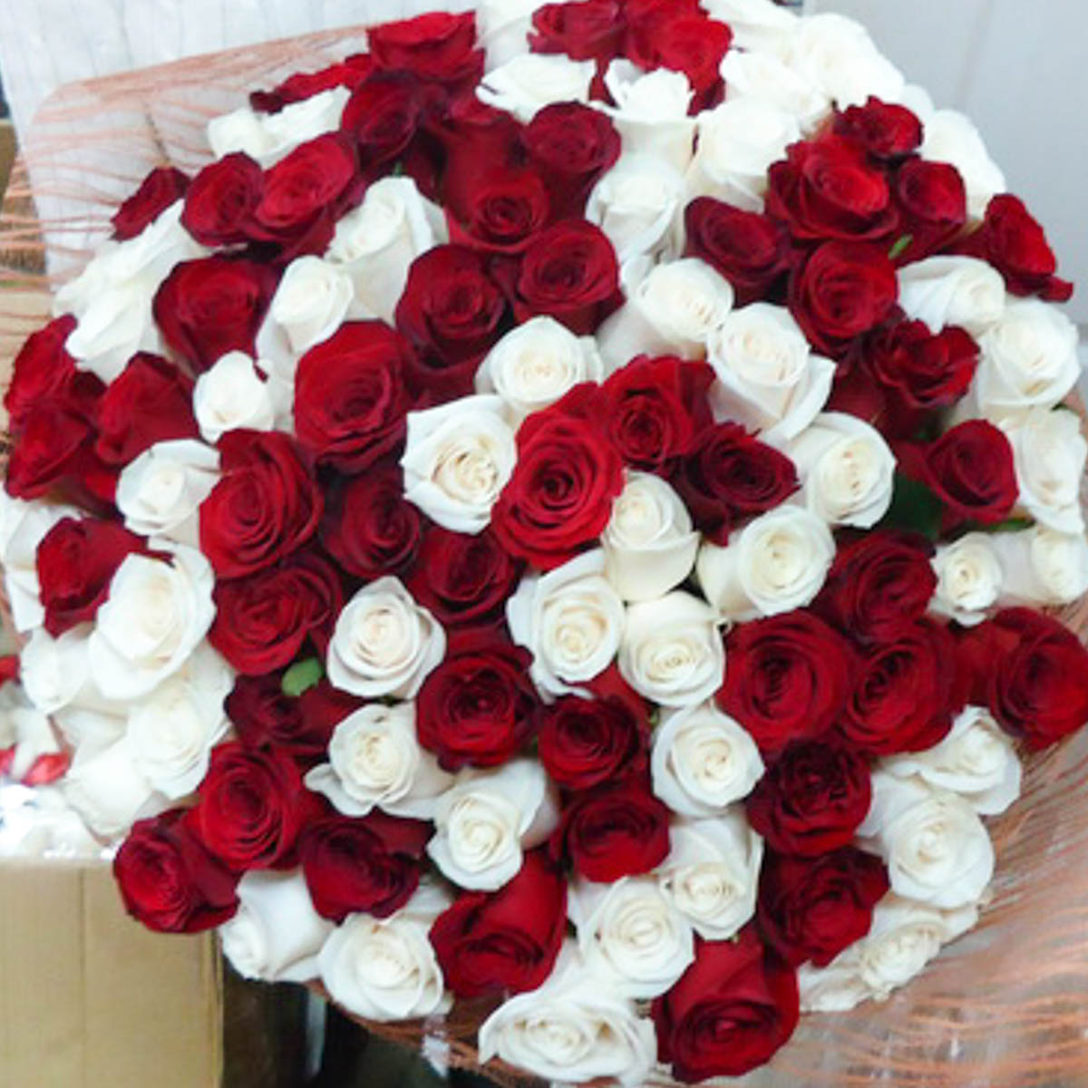 Букет из 51 красной и белой розы с лентой - Фотография цветов перед доставкой 4