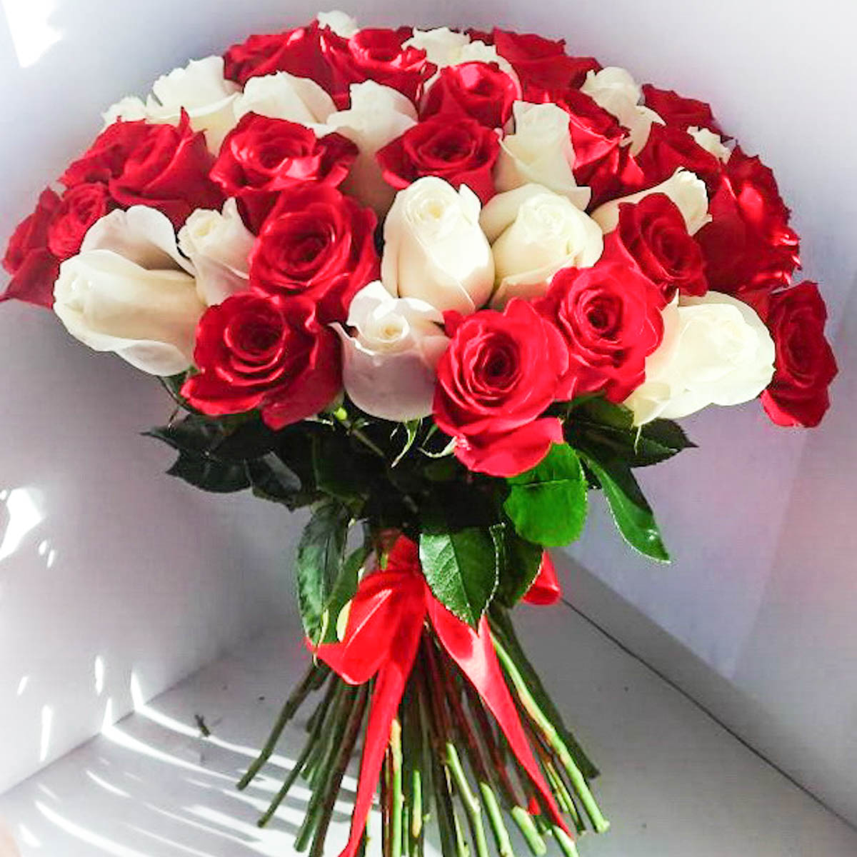 Букет из 51 красной и белой розы с лентой - Фотография цветов перед доставкой