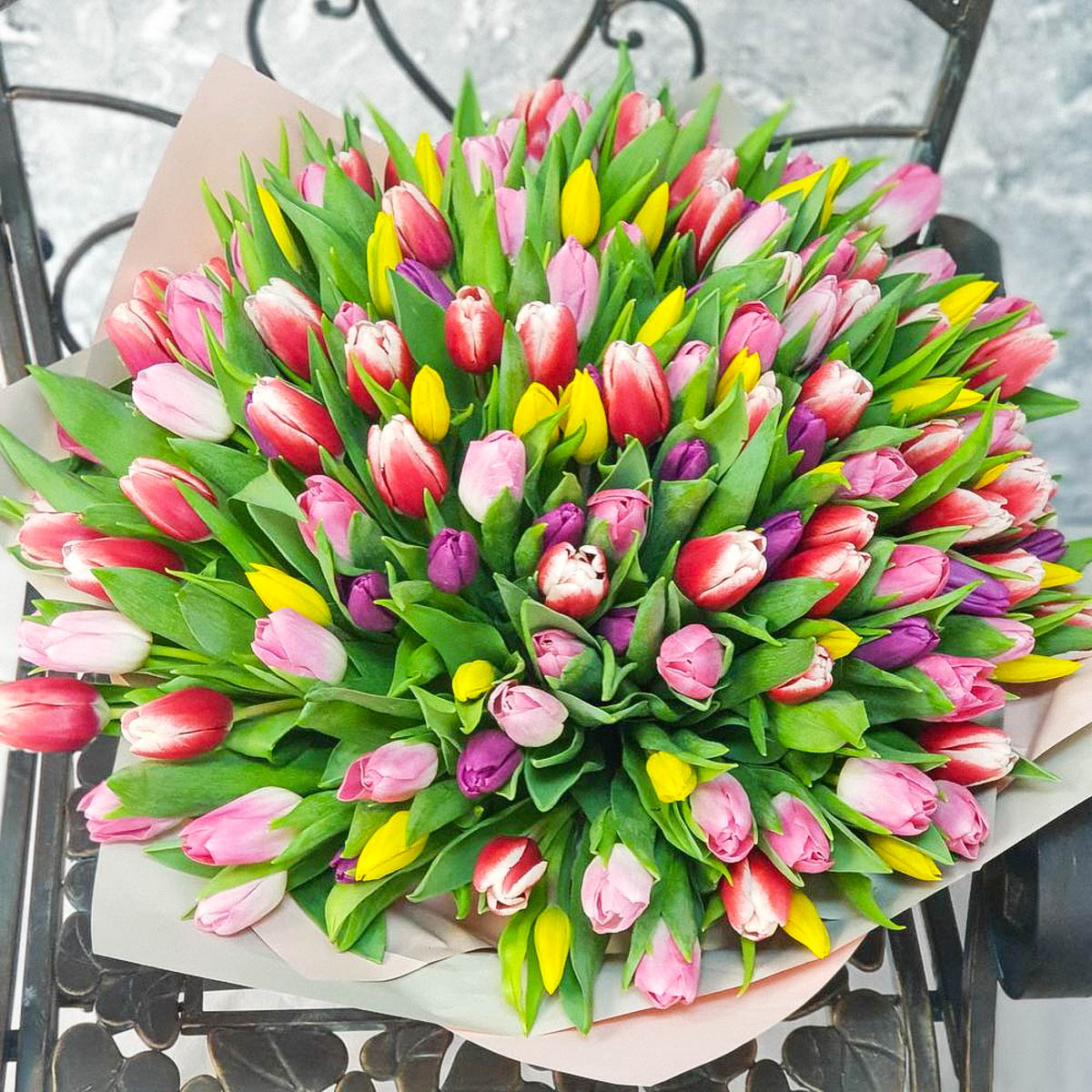 Тюльпан многоцветный
