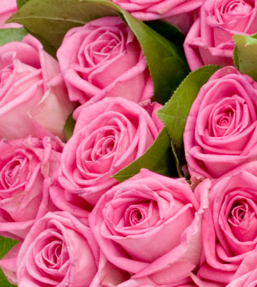 Фото 2 - Букет из 11 ярко-розовых роз с лентой