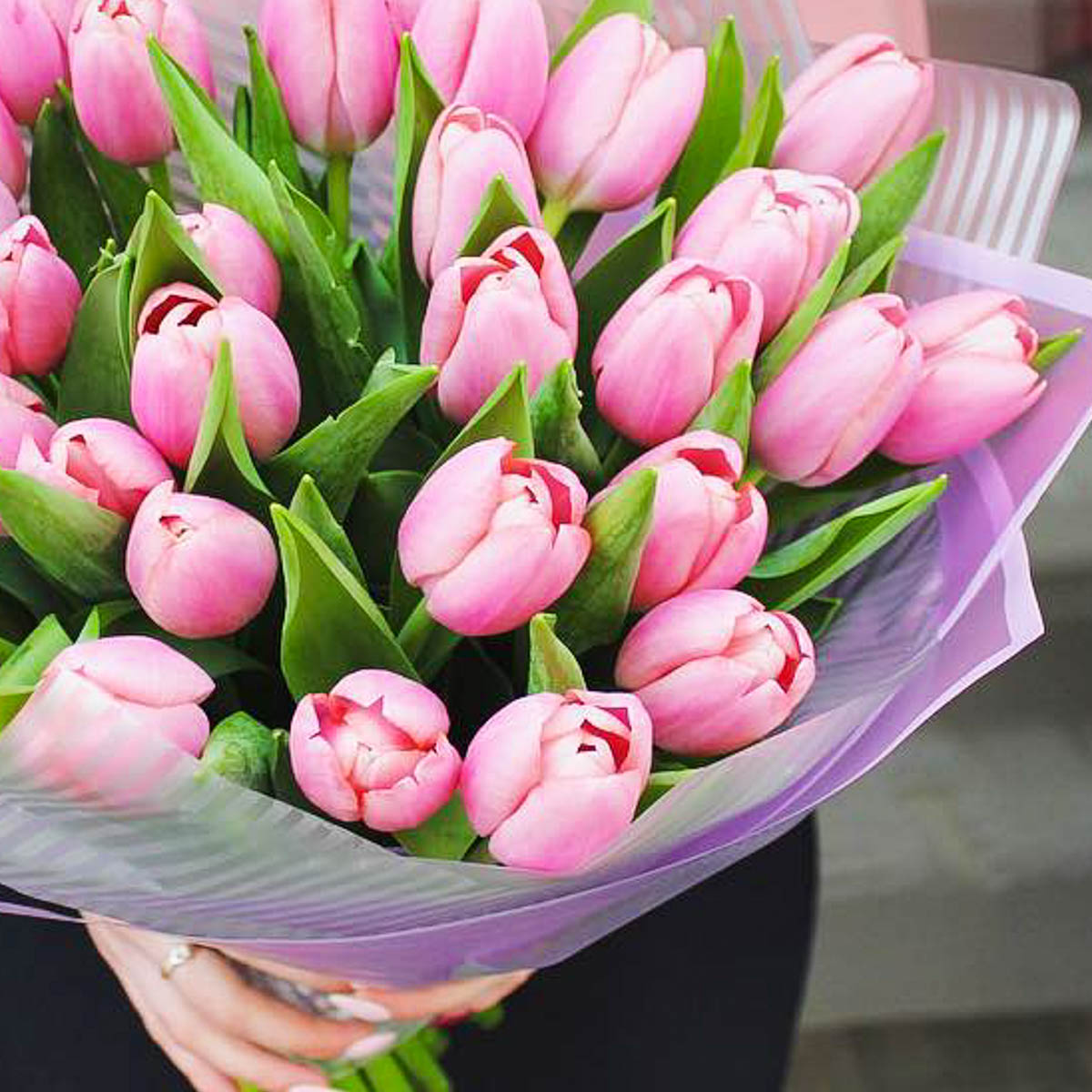 Букеты тюльпанов фото красивые живые реальные