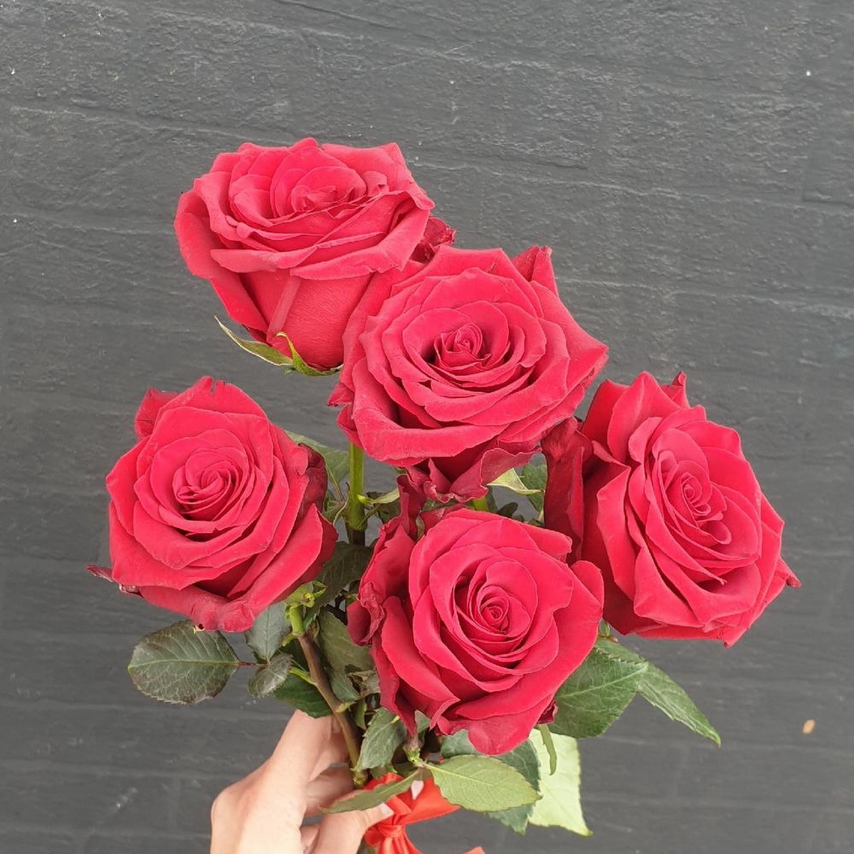 Фото 4 - Букет из 5 красных роз с лентой