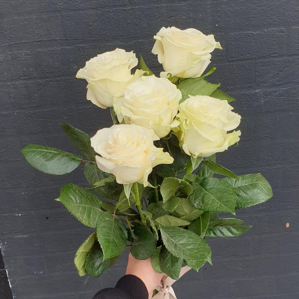 Фото 2 - Букет из 5 белых роз с лентой