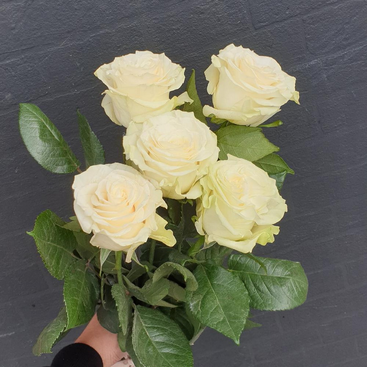 Фото 3 - Букет из 5 белых роз с лентой