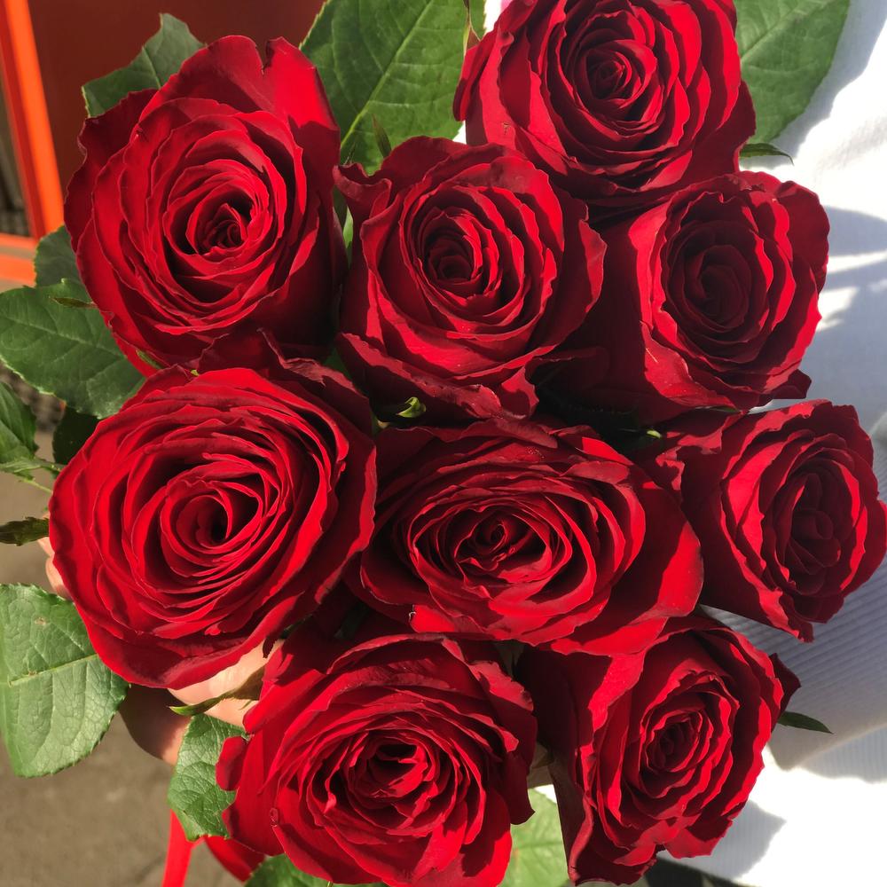 Фото 4 - Букет из 9 красных роз с лентой