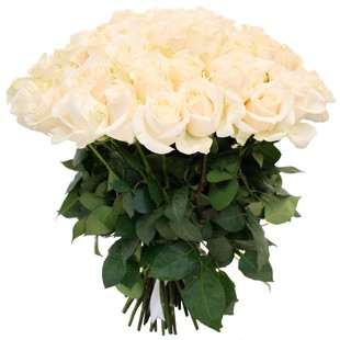Букет из 51 белой розы с лентой