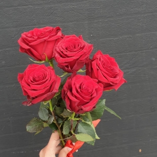 Букет из 5 красных роз с лентой