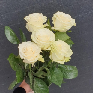 Букет из 5 белых роз с лентой