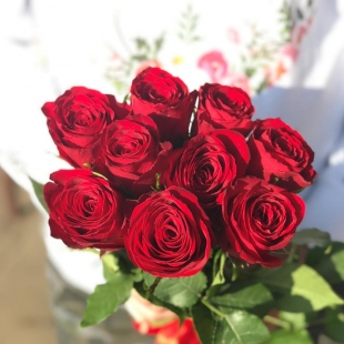 Букет из 9 красных роз с лентой
