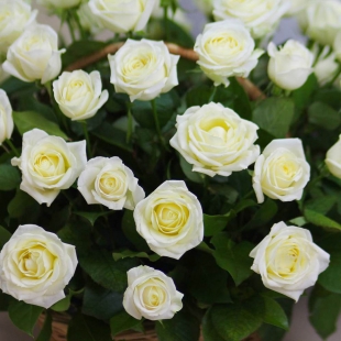 Большая корзина 51 белая роза