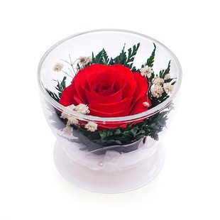 1 неувядающая роза в стекле (6см)